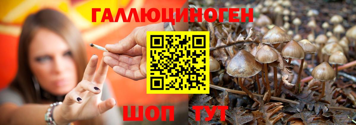 Ногинск  Псилоцибиновые грибы прущие грибы  Вход с VPN 